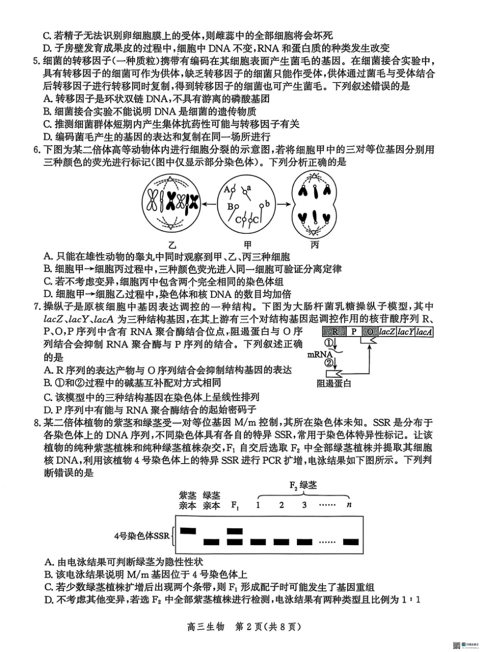 2025届河北省沧州市沧衡八县联考高三下学期一模生物试题（含答案）.pdf_第2页
