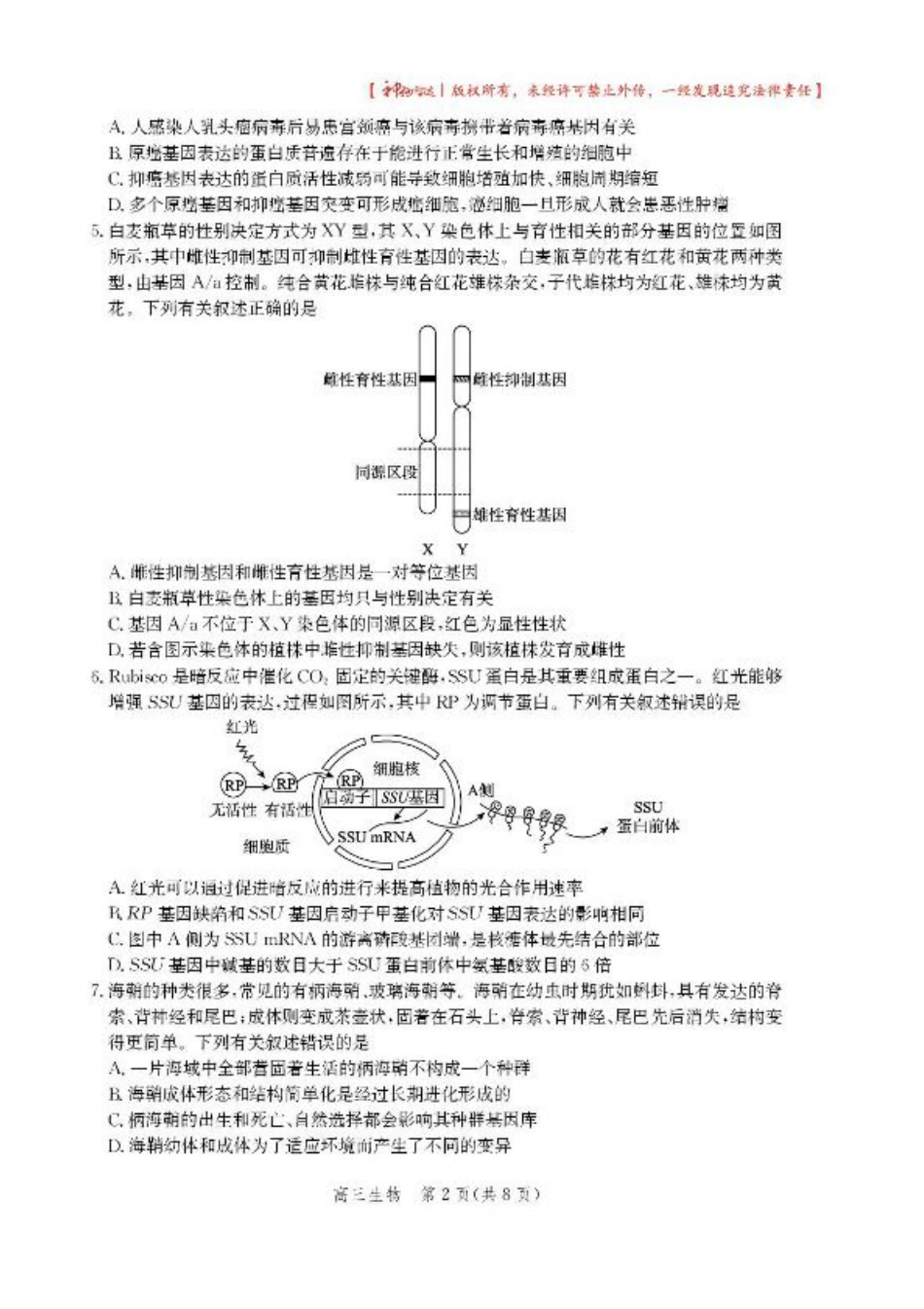2025届河北省沧州市高三下学期4月复习质量监测（二模）生物试题（含答案）.pdf_第2页