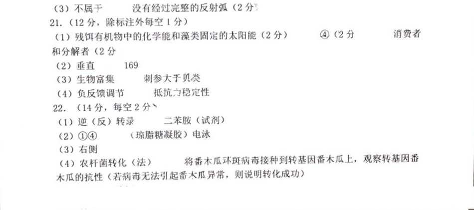 2025届河北省石家庄市高三上学期教学质量摸底检测生物试卷_生物答案.pdf_第2页