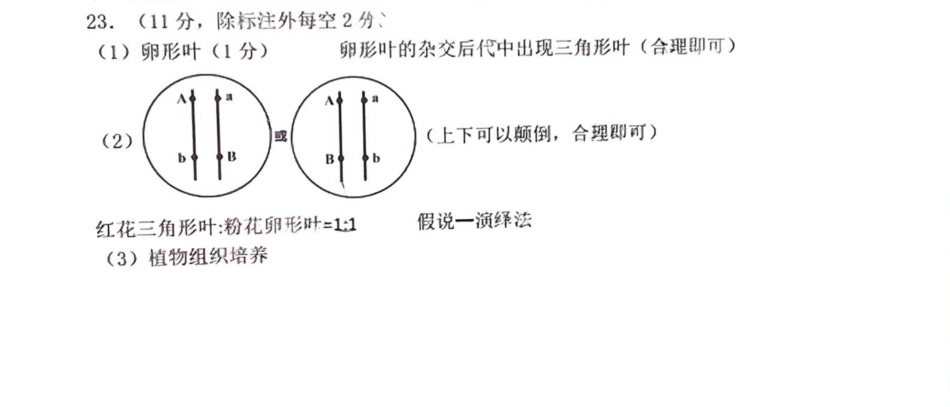 2025届河北省石家庄市高三上学期教学质量摸底检测生物试卷_生物答案.pdf_第3页