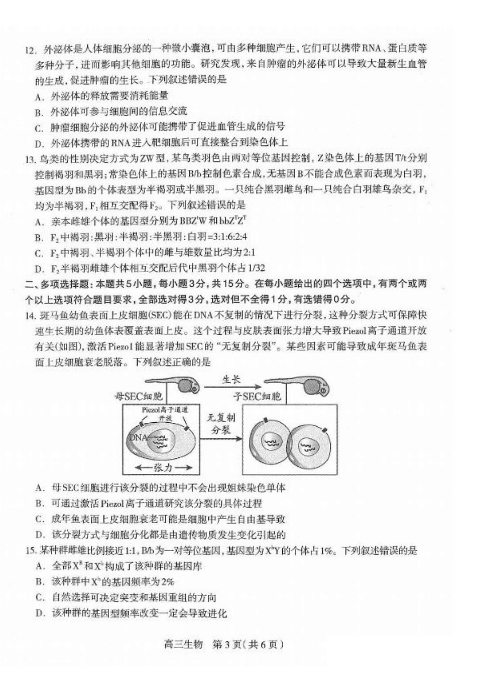 2025届河北省石家庄市普通高中毕业年级教学质量检测（一）生物试卷（含答案）.pdf_第3页