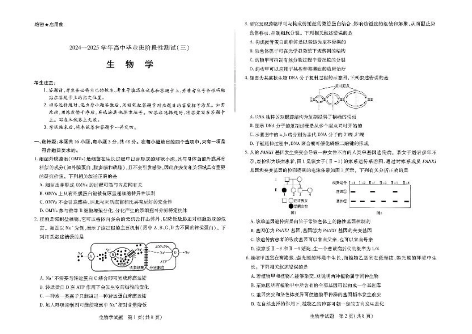 2025届河南大联考高三阶段性检测（三）生物试题_扫描件_生物.pdf_第1页