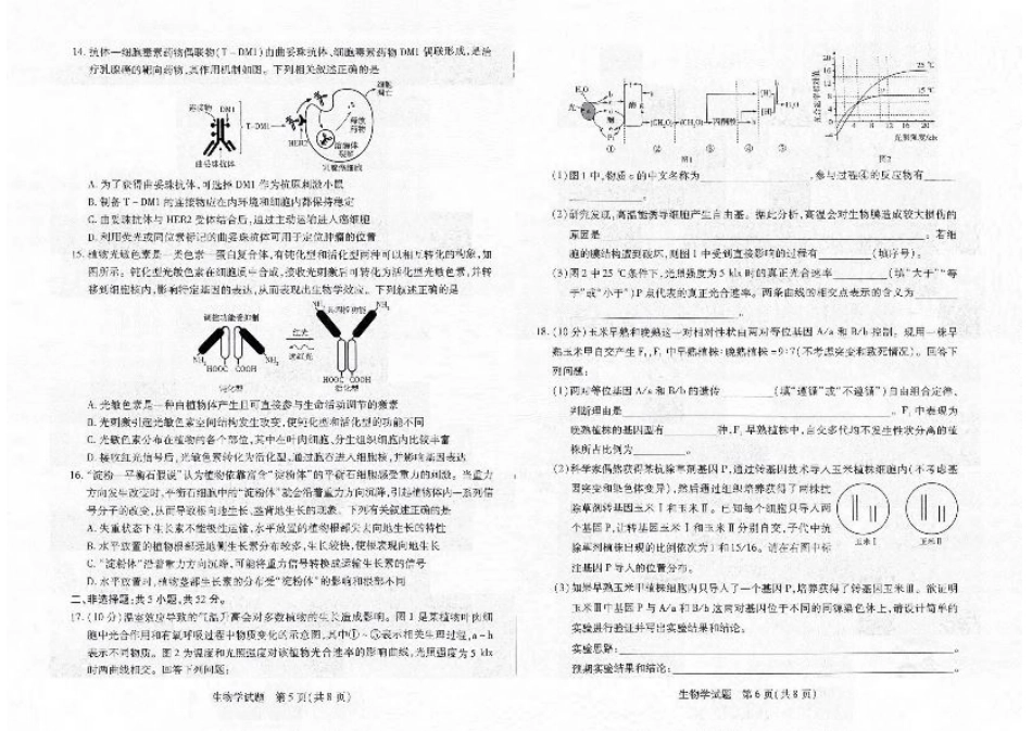 2025届河南大联考高三阶段性检测（三）生物试题_扫描件_生物.pdf_第3页