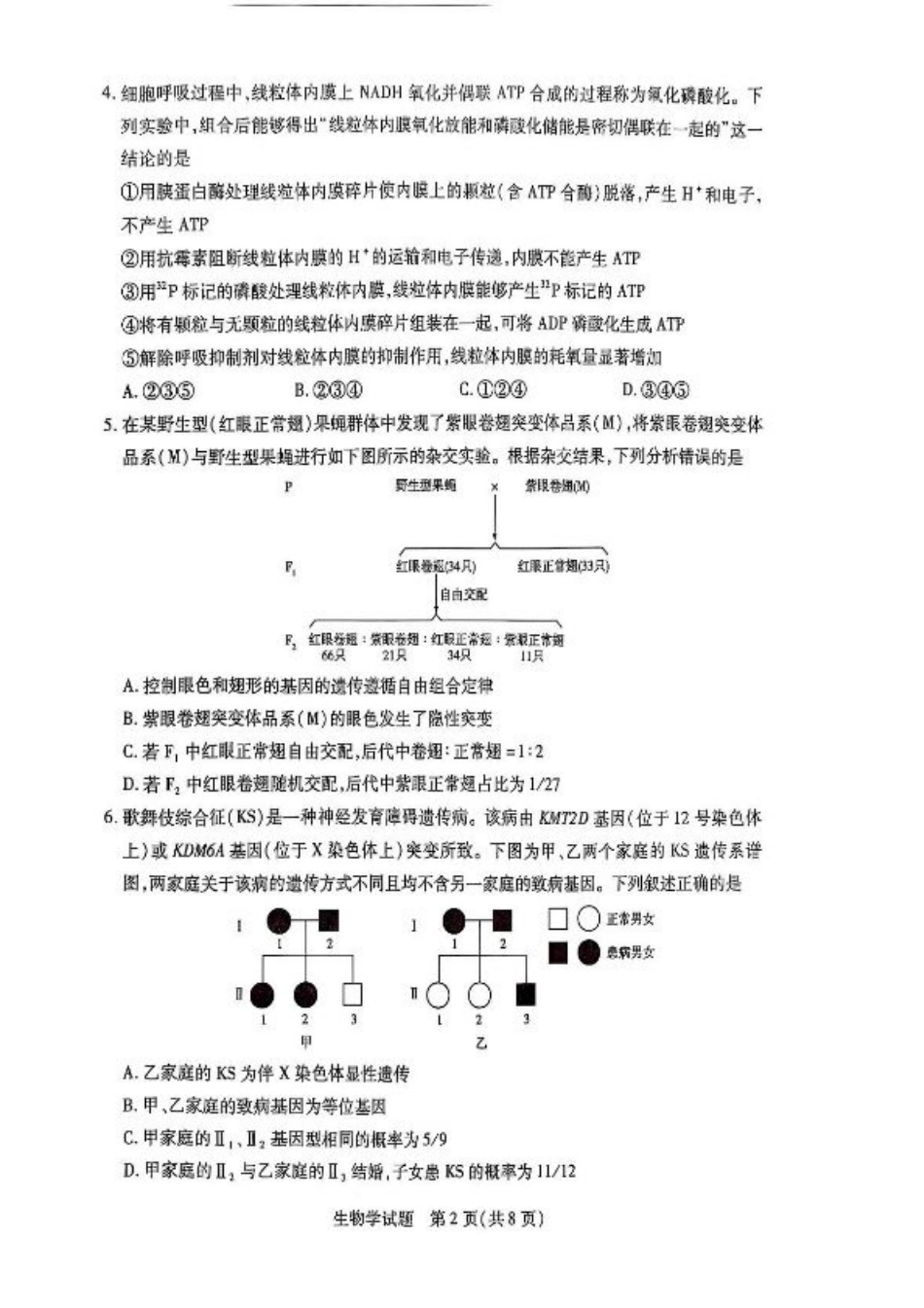 2025届河南省大联考高三3月春季模拟检测生物+答案.pdf_第2页