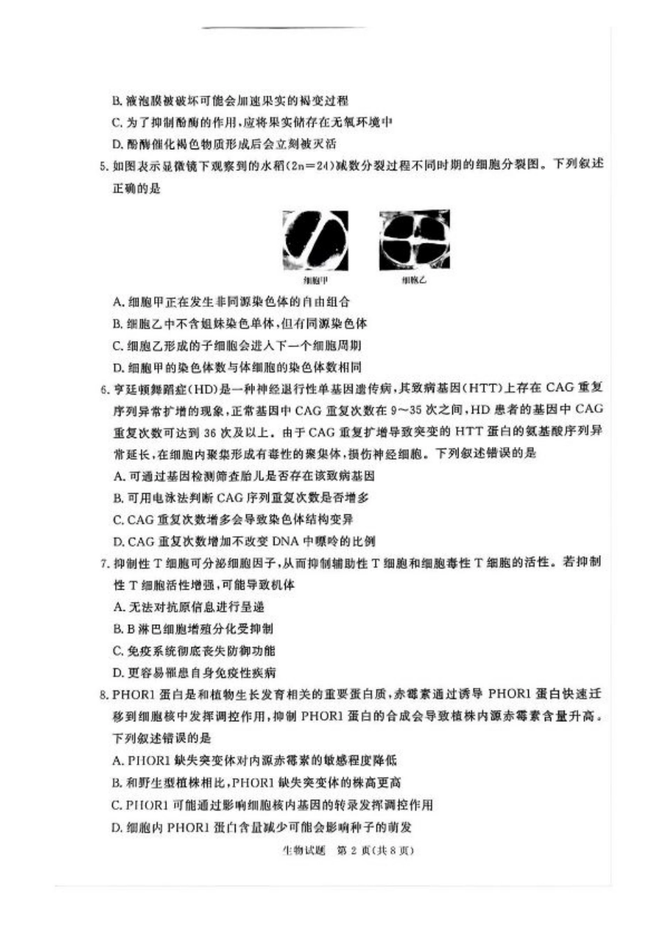 2025届河南省青桐鸣高三4月大联考生物试题+答案.pdf_第2页