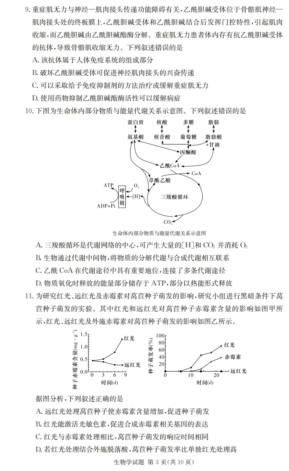 2025届湖南省长沙市第一中学高三上学期摸底考试生物试题+答案.pdf_第3页