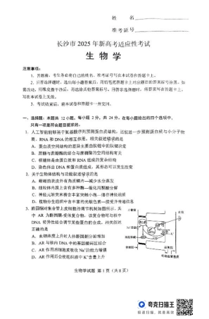 2025届湖南省长沙市高三上学期新高考适应性考试生物考试试题.pdf