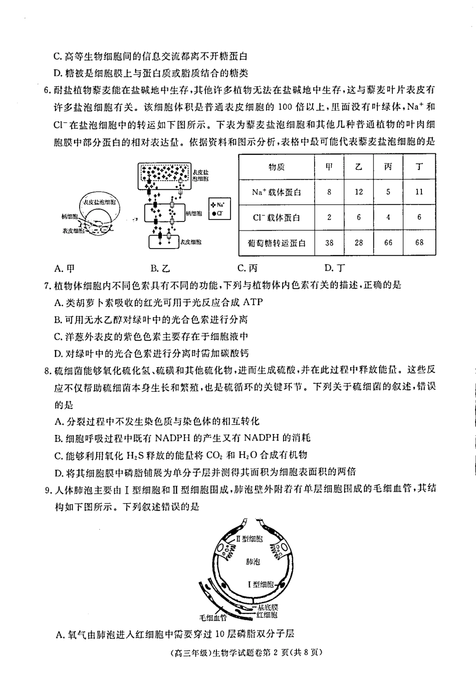 2025届江西省赣州市十八县(市、区)二十四校高三上学期期中考试生物试题.pdf_第2页