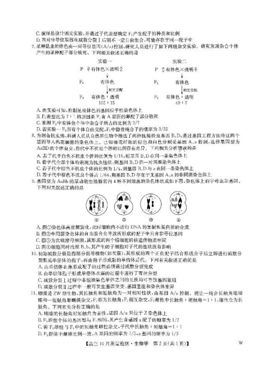 2025届九师联盟高三10月期中联考生物试题（W）+答案.pdf_第2页