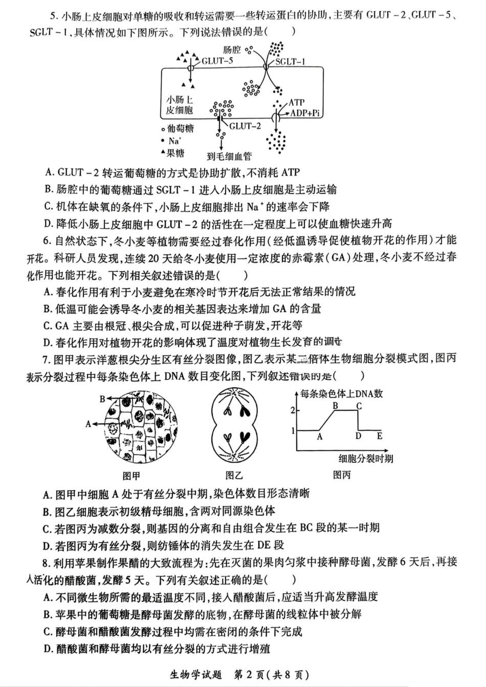 2025届陕西省高考适应性检测（三）生物试题+答案.pdf_第2页