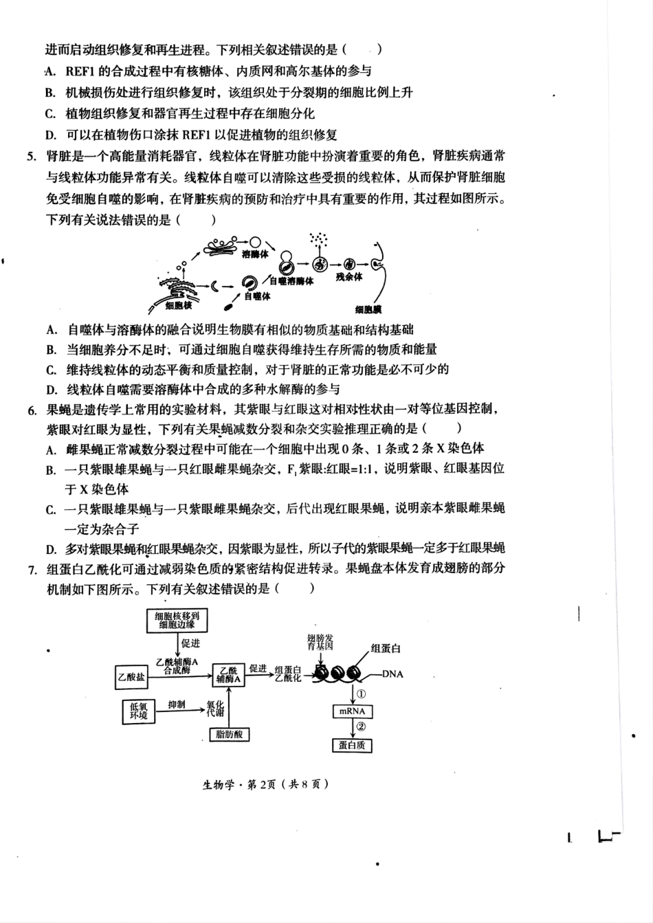 2025届四川省巴中市高三“零诊”考试生物试题.pdf_第2页
