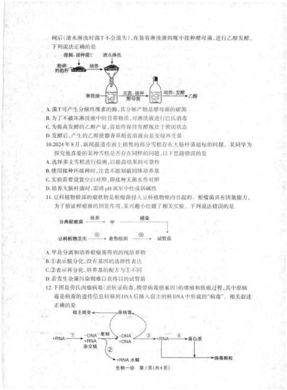 2025届四川省德阳市高三第一次诊断考试生物_德阳一诊生物试卷.pdf_第3页