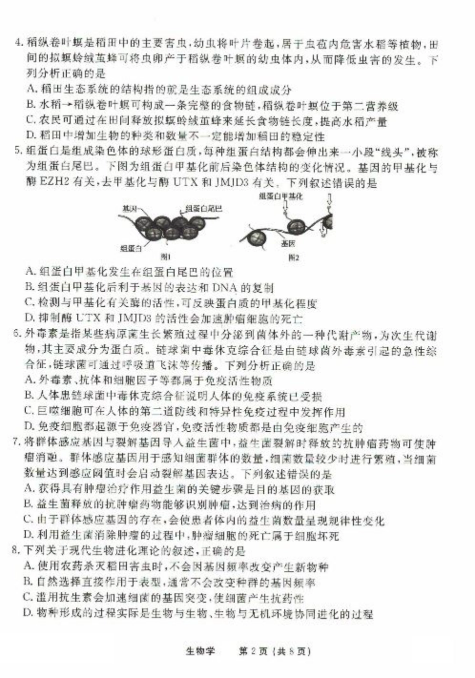 2025年普通高等学校招生全国统一考试模拟试题（一）生物试题（PDF版，含解析）.pdf_第2页