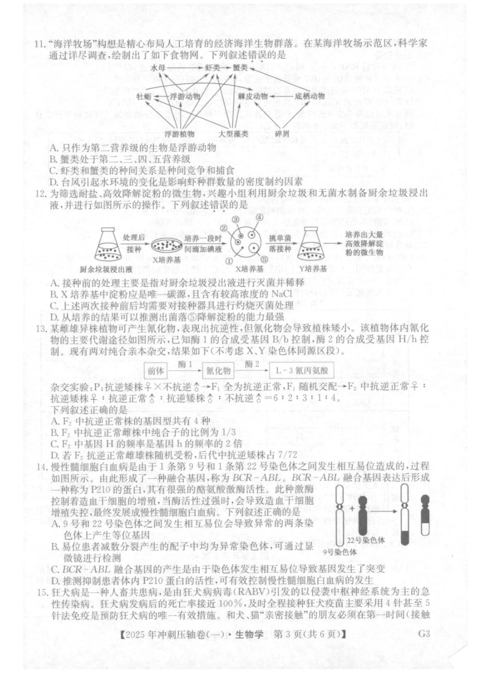 2025年普通高中学业水平选择性考试冲刺压轴卷（一)生物试卷（含答案）.pdf_第3页