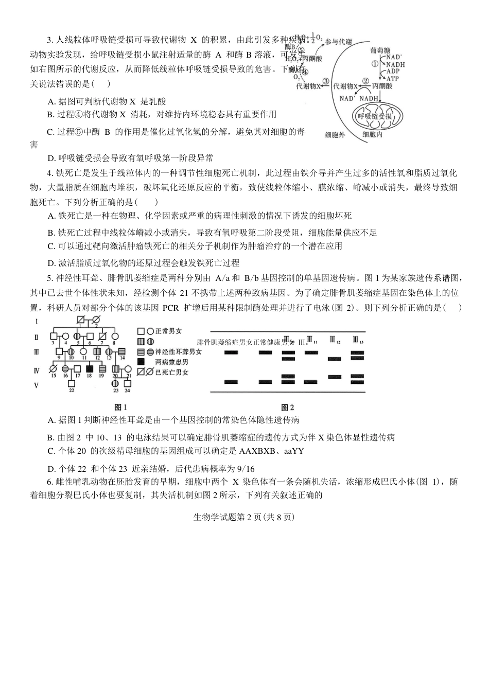 2025年陕西省高考适应性检测（一）生物试卷（含解析）.pdf_第2页