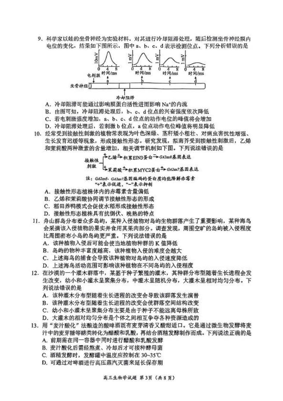 2025山东省日照市4月高三校际联合考试（日照二模)（全科）_生物试题.pdf_第3页