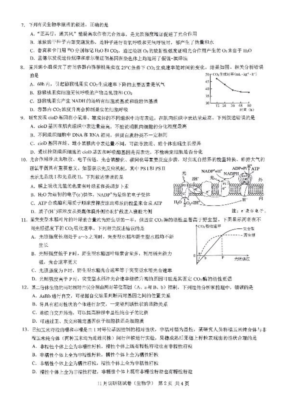 2025重庆康德半期考试生物.pdf_第2页