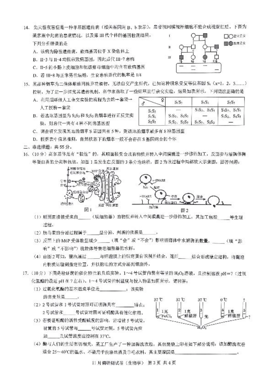 2025重庆康德半期考试生物.pdf_第3页