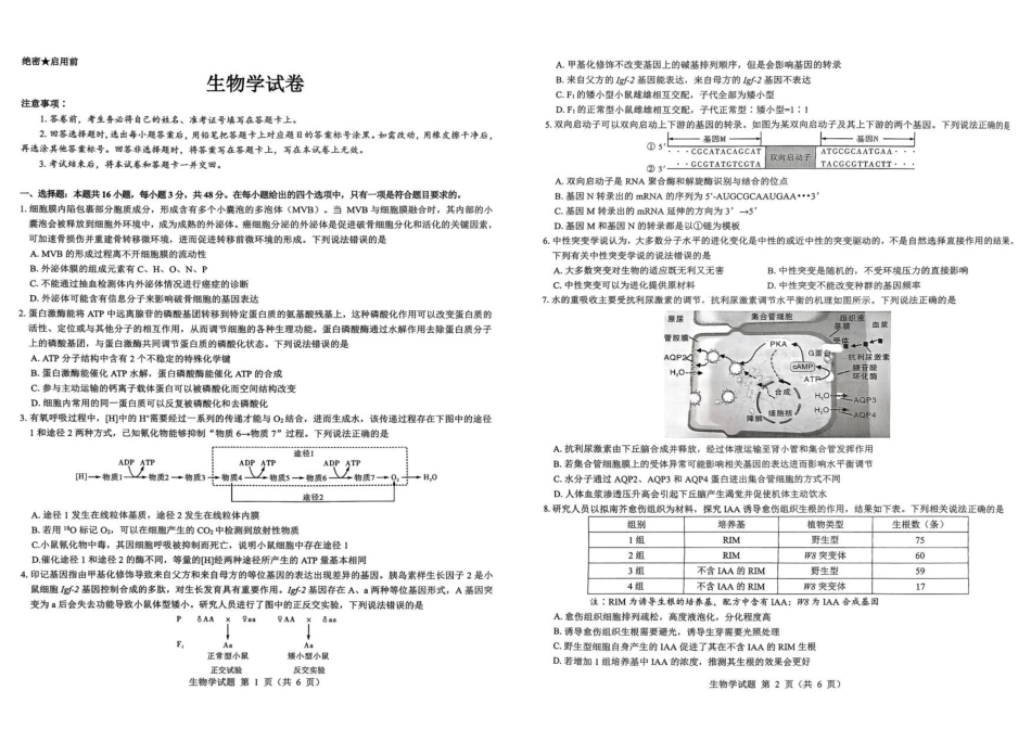 2026届陕西省西安市新城区高三上学期一模生物试题（含答案）.pdf_第1页