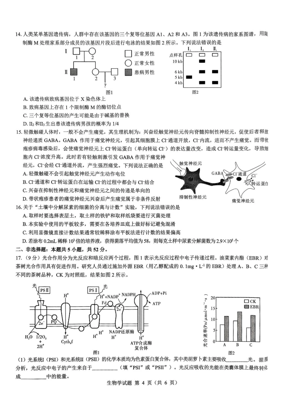2026届陕西省西安市新城区高三上学期一模生物试题（含答案）.pdf_第3页