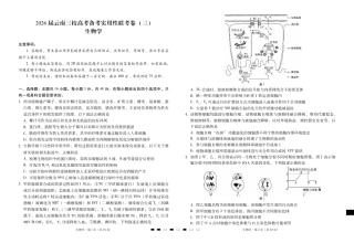 2026届云南三校高考备考实用性联考卷（三）生物.pdf