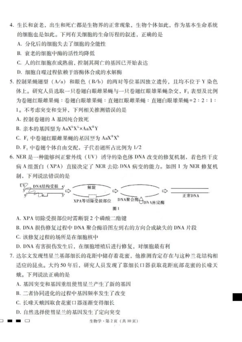 2026届云南三校高考备考实用性联考卷（一）生物试卷+答案.pdf_第2页