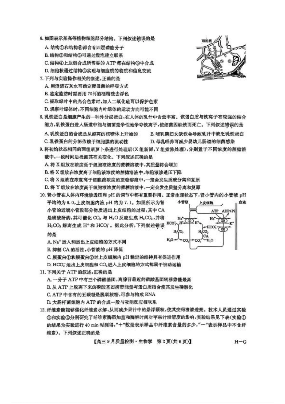 2026九师联盟高三10月10联考生物试卷（含答案）.pdf_第2页