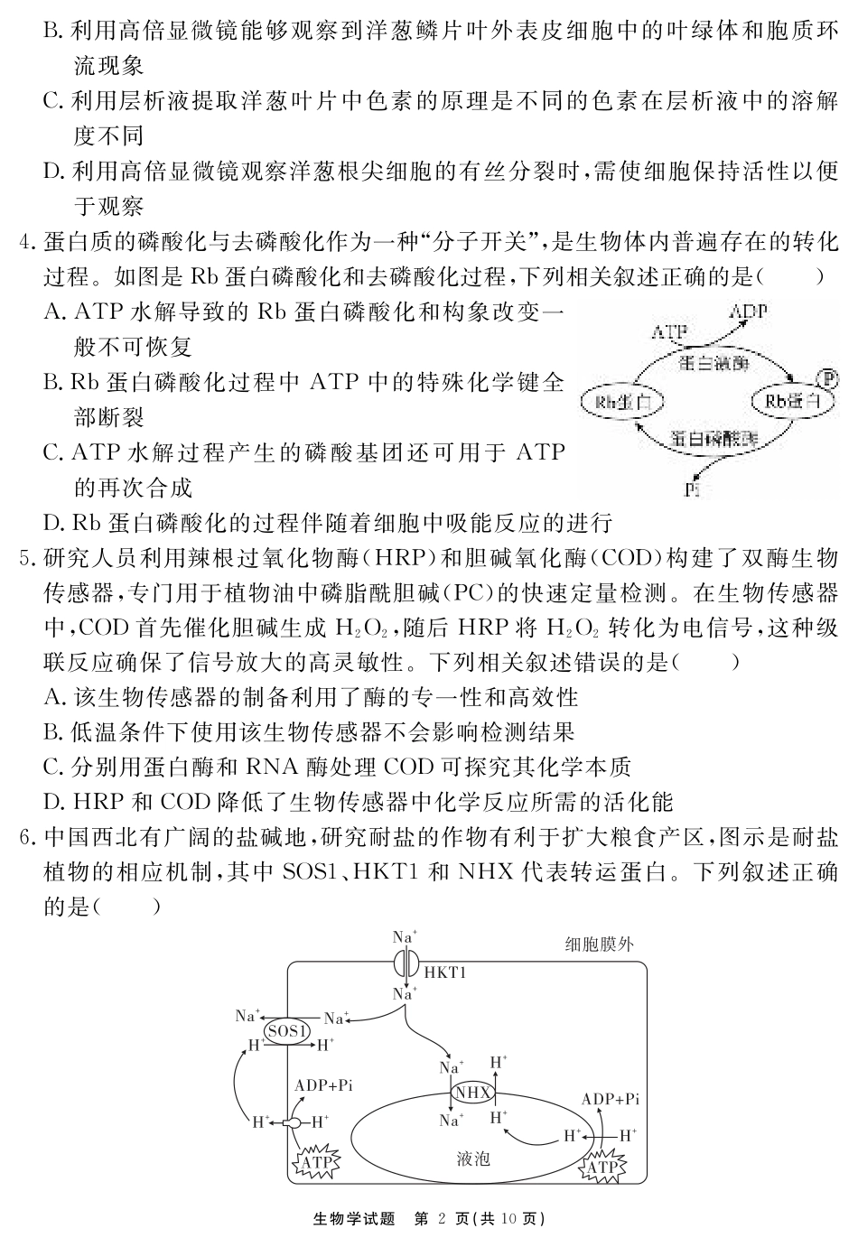安徽省2025-2026学年度“耀正优”高三年级10月阶段检测生物.pdf_第2页