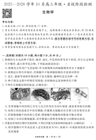 安徽省2025-2026学年度“耀正优”高三年级10月阶段检测生物.pdf