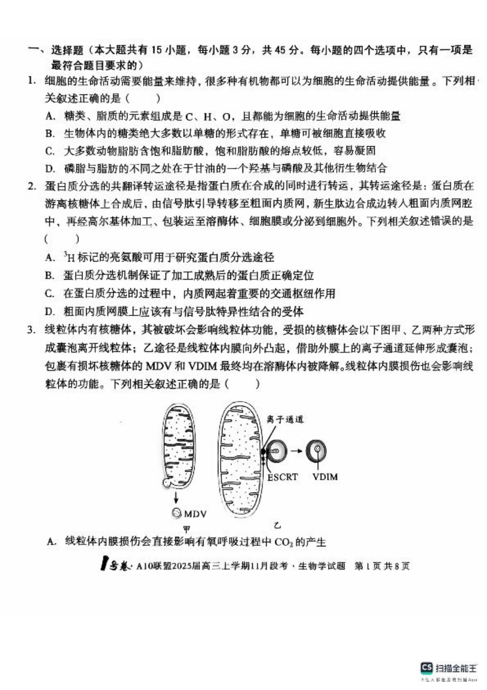 安徽省A10联盟2024-2025学年高三上学期11月月考生物试题.pdf_第1页