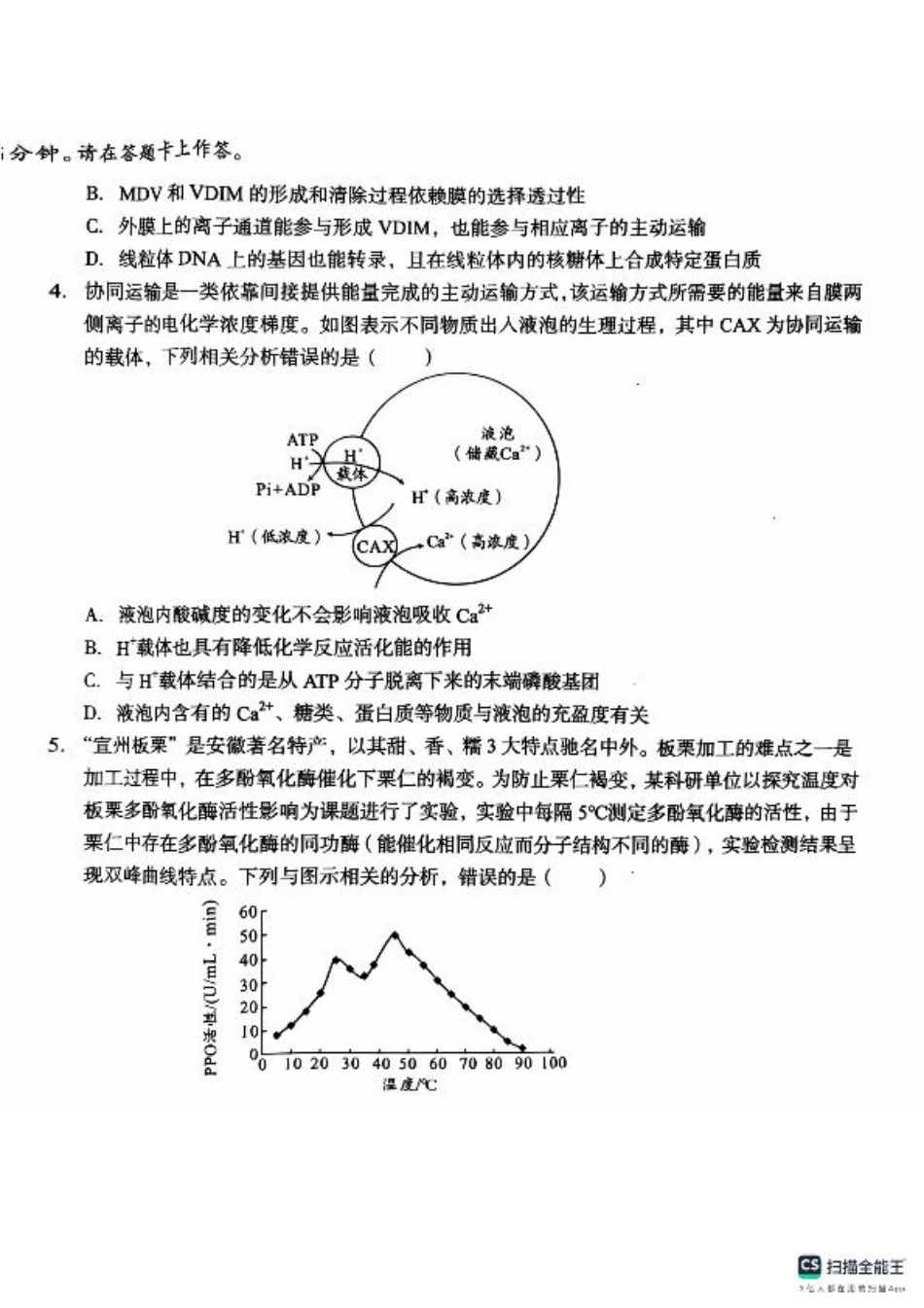 安徽省A10联盟2024-2025学年高三上学期11月月考生物试题.pdf_第2页