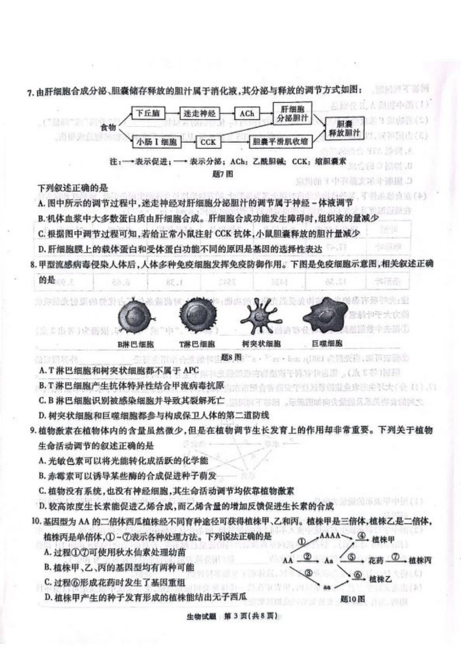 安徽省安徽六校教育研究会2025届高三年级入学素质测试（开学联考）生物试卷+答案.pdf_第3页