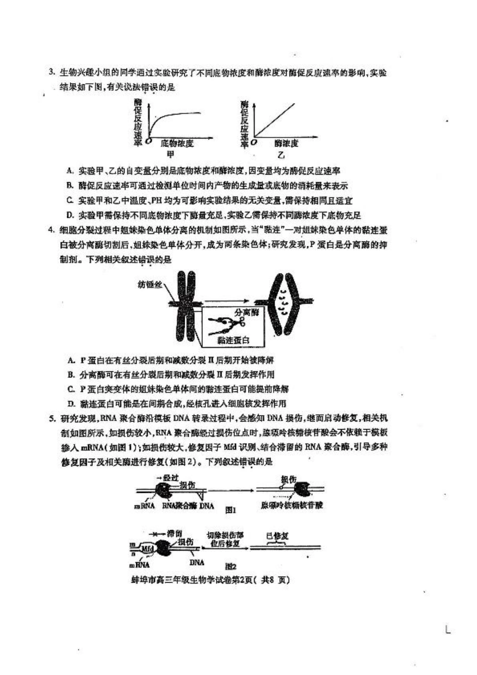 安徽省蚌埠市2025届高三上学期第一次教学质量检查考试（1月） 生物 PDF版含答案.pdf_第2页