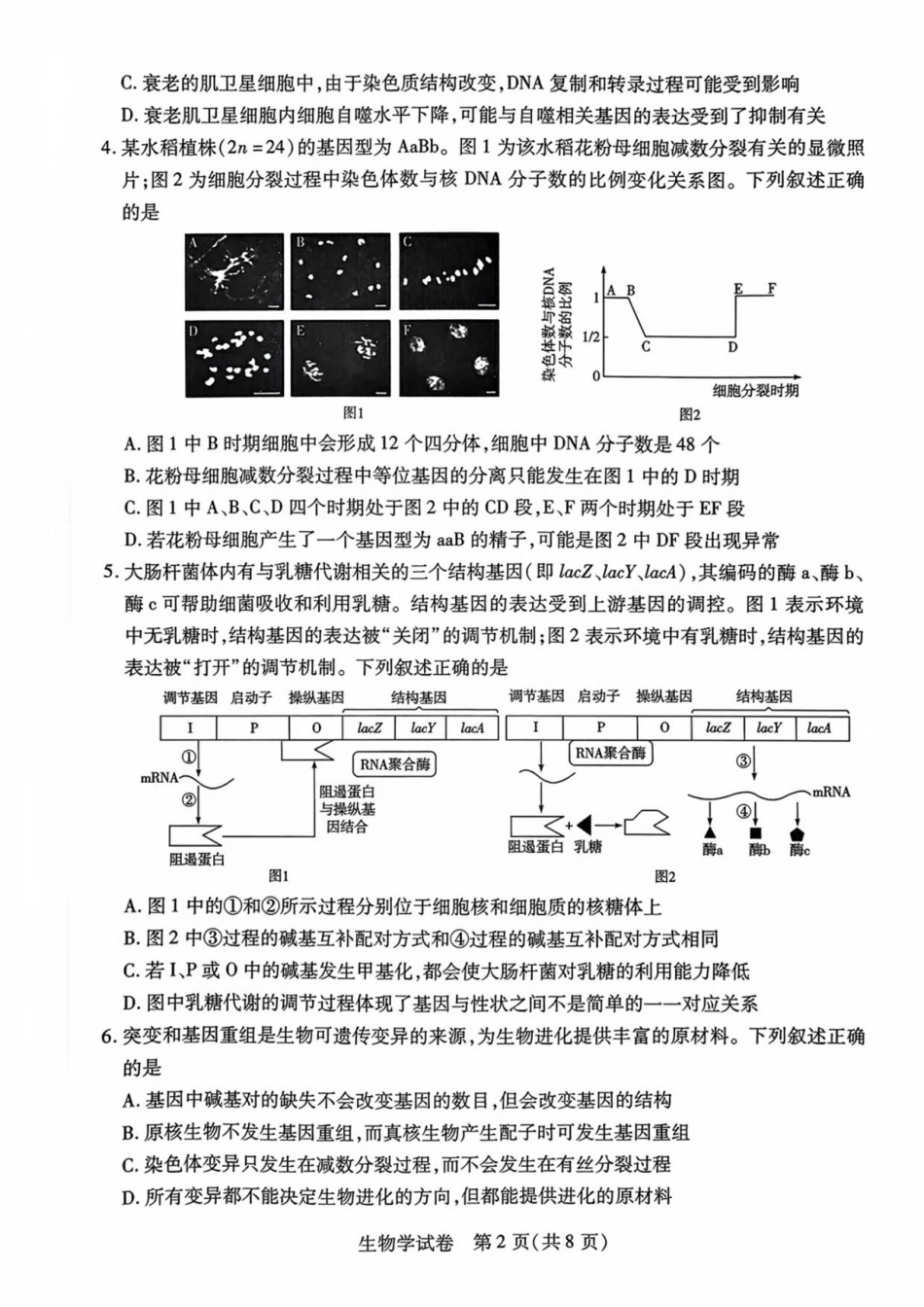 安徽省滁州市2024-2025学年高二下学期期末教学质量监测生物试题（含答案）.pdf_第2页