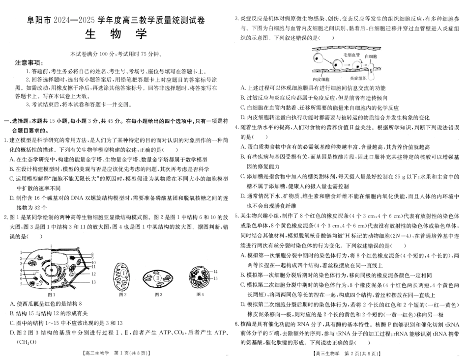 安徽省阜阳市2025届高三上学期教学质量统测生物试卷（含答案）.pdf_第1页
