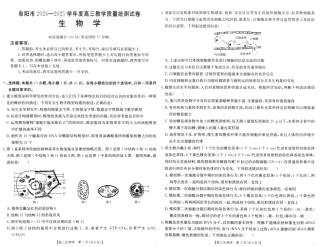 安徽省阜阳市2025届高三上学期教学质量统测生物试卷（含答案）.pdf