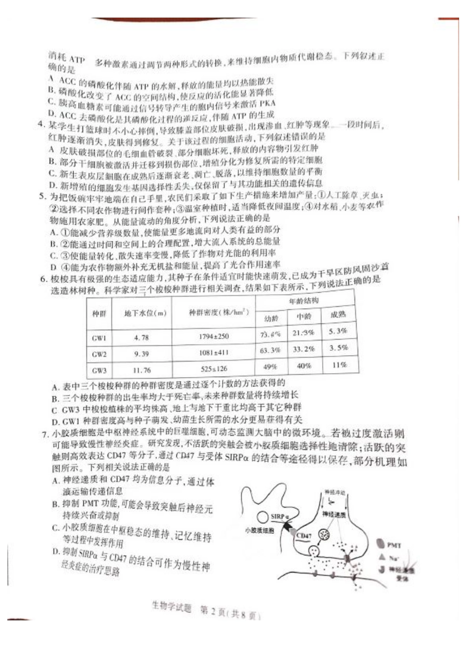 安徽省合肥市2025届高三第二次教学质量检测生物试题（含答案）.pdf_第2页