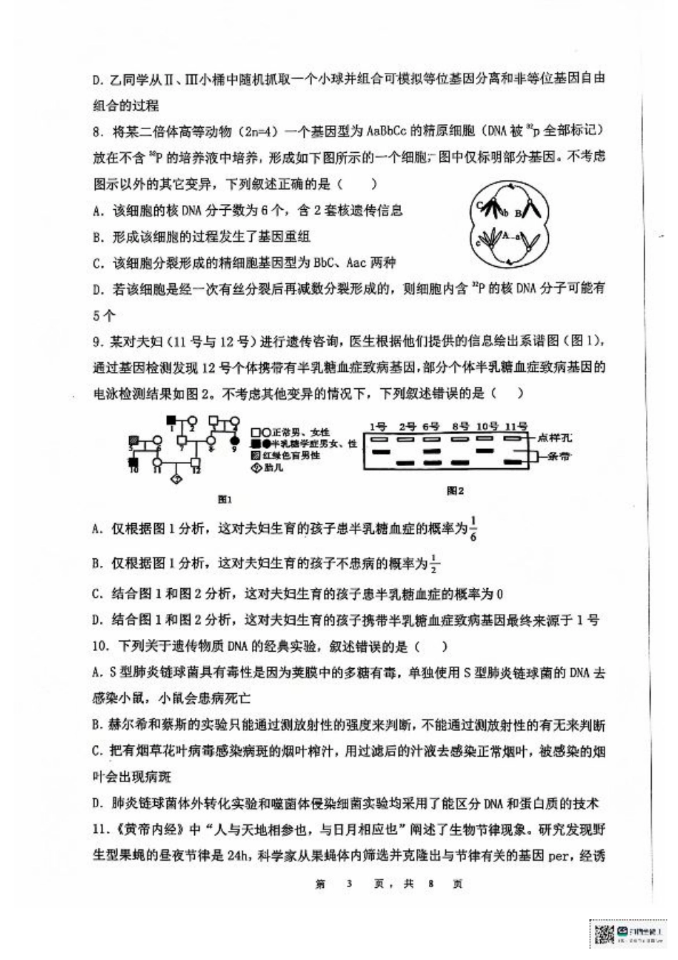 安徽省六安第二中学2024-2025学年高三上学期12月月考生物试题+答案.pdf_第3页
