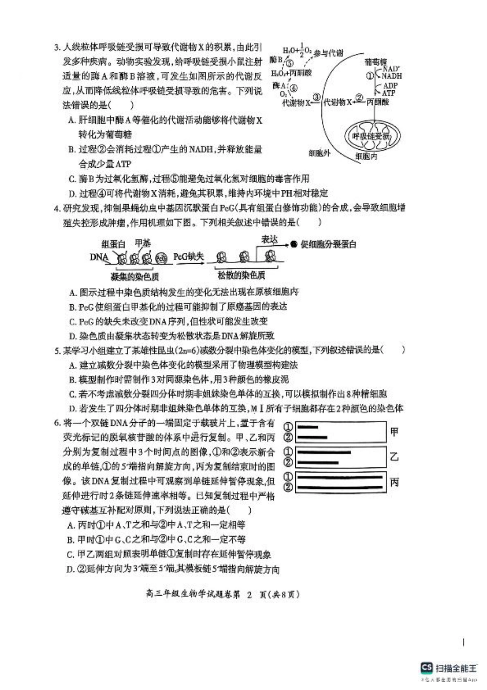 安徽省芜湖市2025届高三上学期1月期末考试生物+答案.pdf_第2页