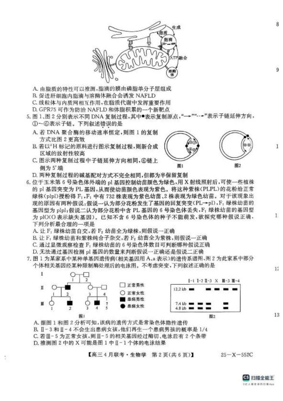 安徽省县域高中合作共享联盟2024-2025学年高三下学期4月月考生物试卷（含答案）.pdf_第2页