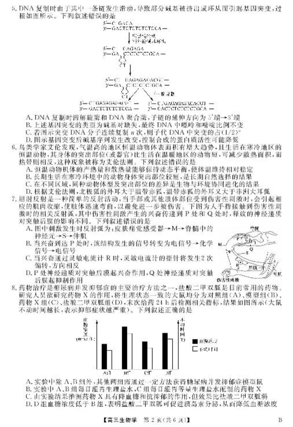 安徽师范大学附属中学2025届下学期4月质量检测生物+答案.pdf_第2页
