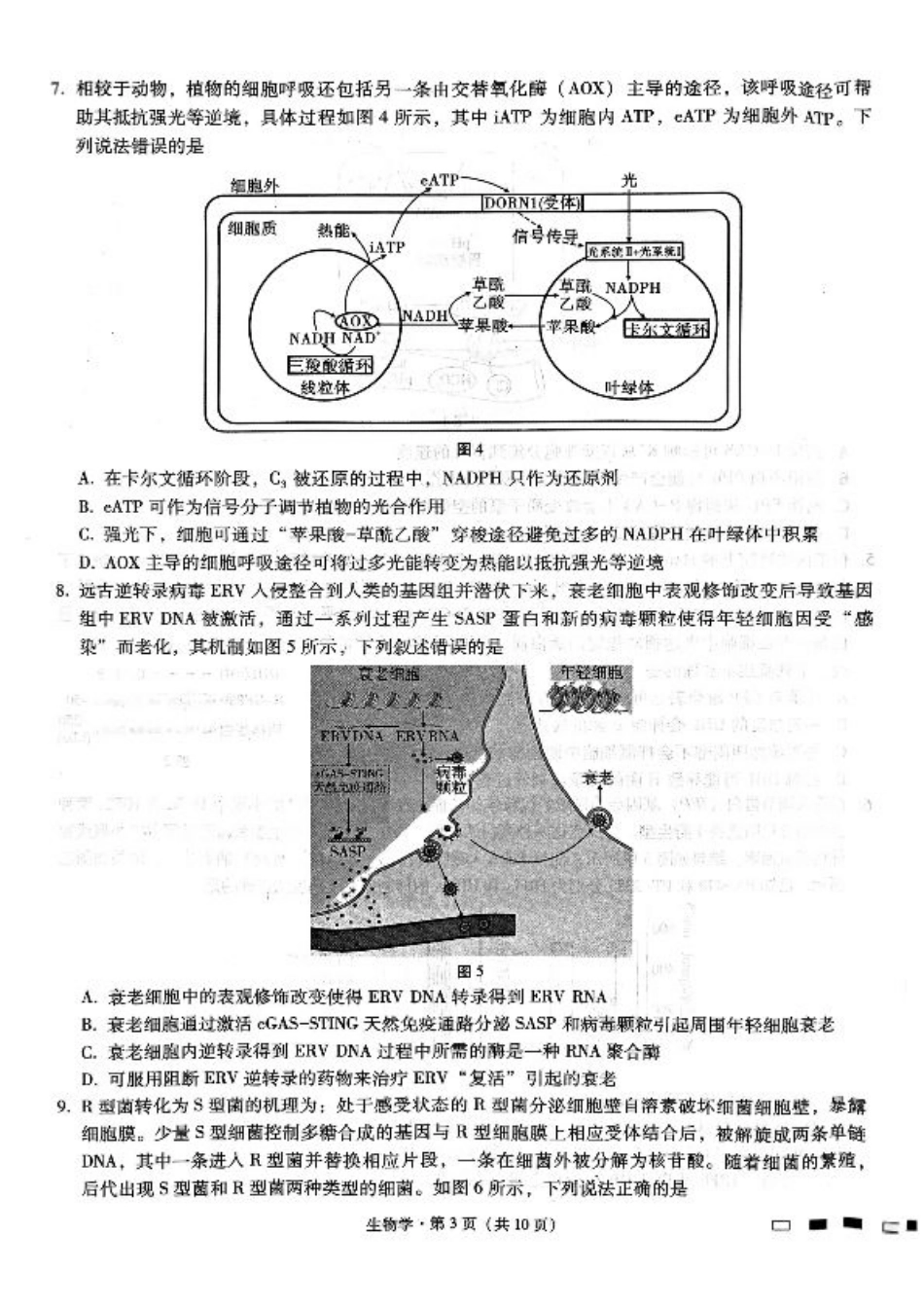 巴蜀中学2025届高考适应性月考卷（三）生物.pdf_第3页