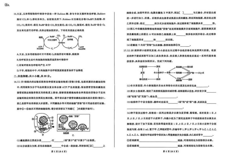 百师联盟2025-2026学年高三上学期9月调研考试生物试题（百A）.pdf_第3页