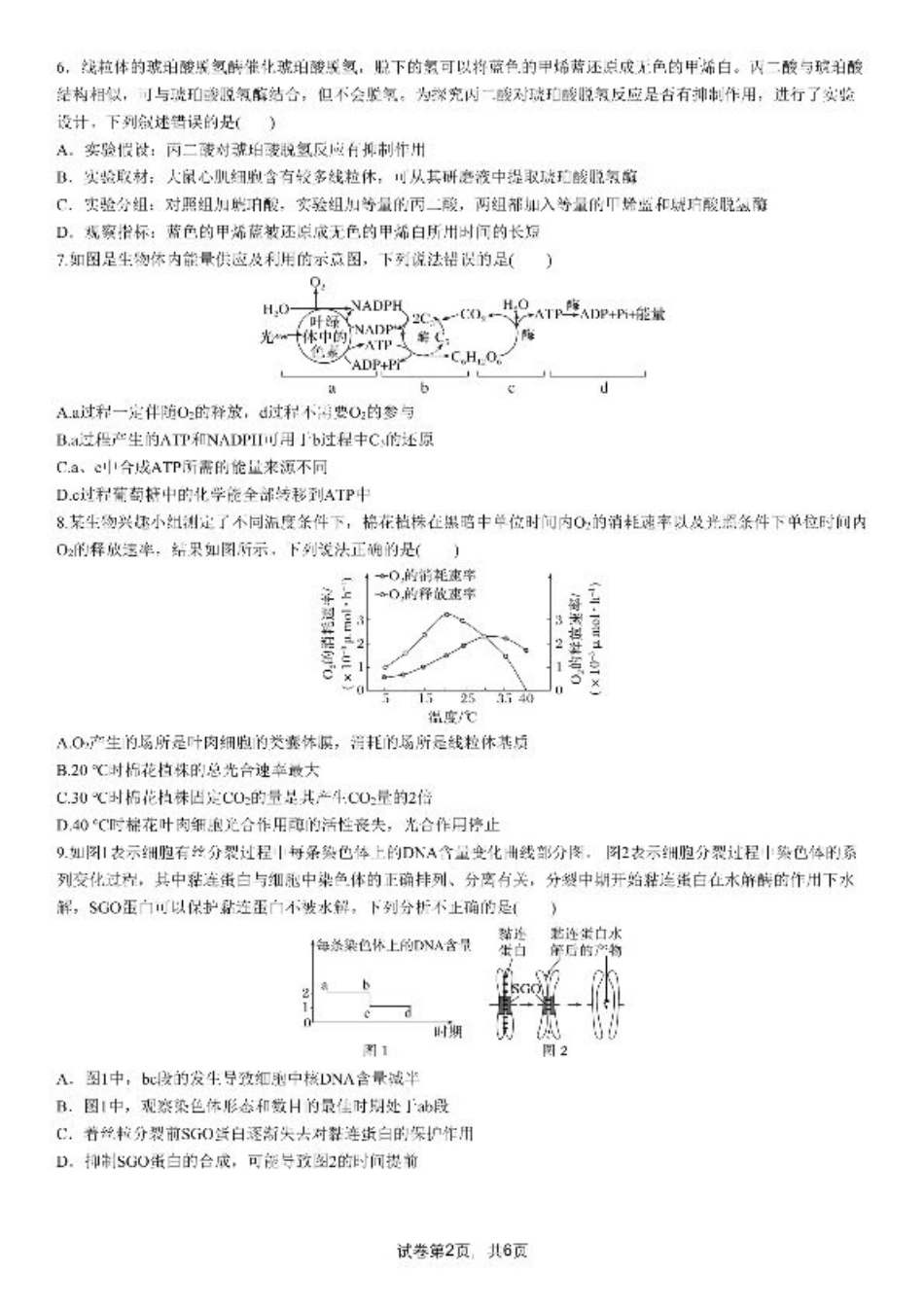 成都市第七中学2025-2026学年高三上学期8月入学考试生物.pdf_第2页