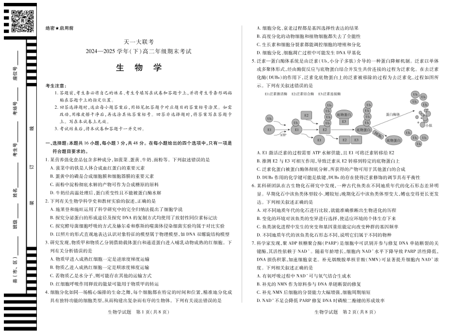 大联考·河南省2024-2025学年（下）高二年级期末考试（全科）_生物高二下期末试卷.pdf_第1页