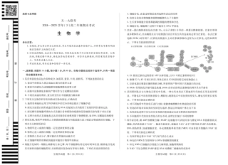 大联考·河南省2024-2025学年（下）高二年级期末考试（全科）_生物高二下期末试卷.pdf