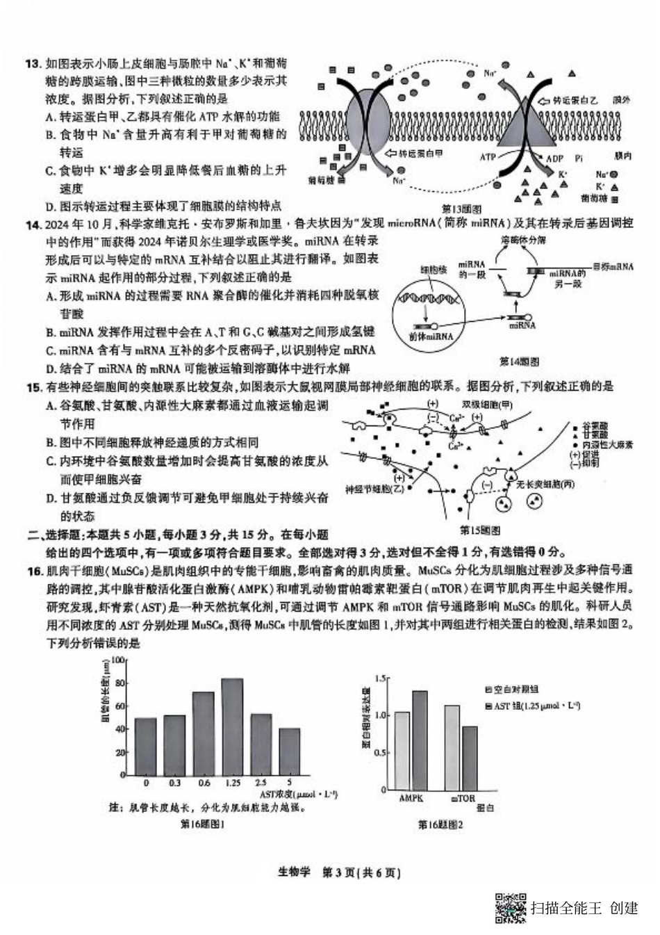 东北三省精准教学2024-2025学年高三上学期12月联考生物学试题（PDF版，含答案）.pdf_第3页