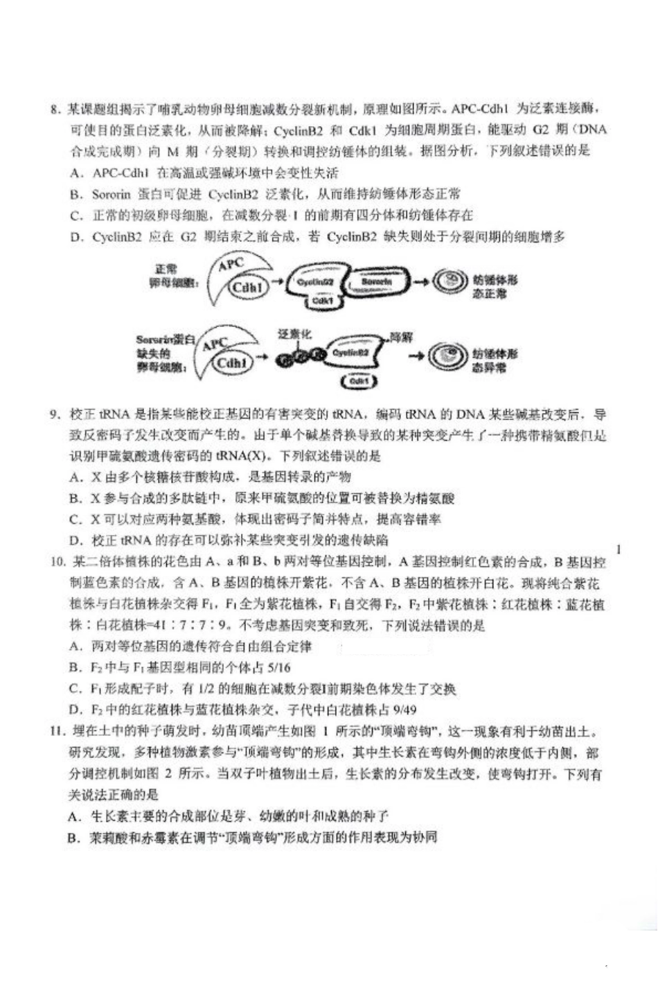 东北师大附中2025届高三下学期期初考试-生物试题+答案.pdf_第3页