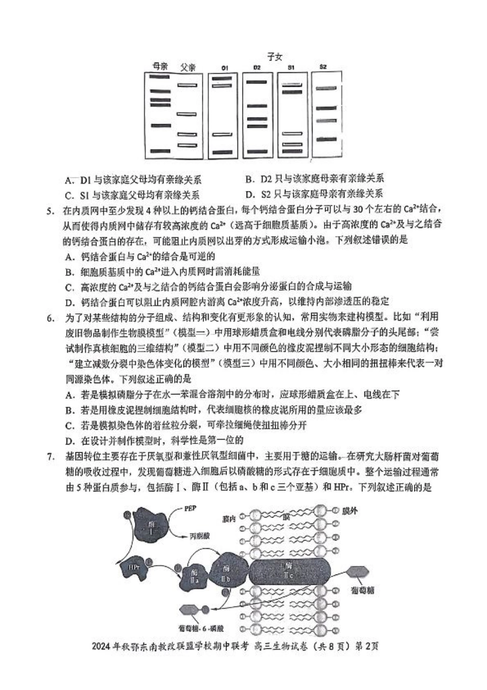 鄂东南期中联考高三生物试卷.pdf_第2页