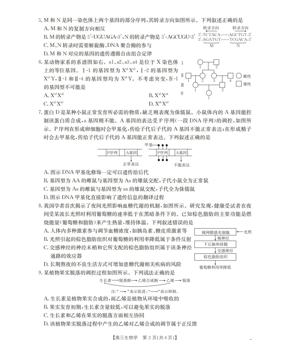 鄂州市2026届高三上学期第三届普通高中教师专业能力测试（解题大赛）+生物.pdf_第2页